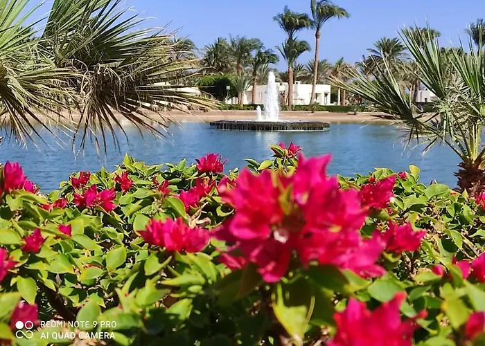 Pharaoh Azur 4* الغردقة